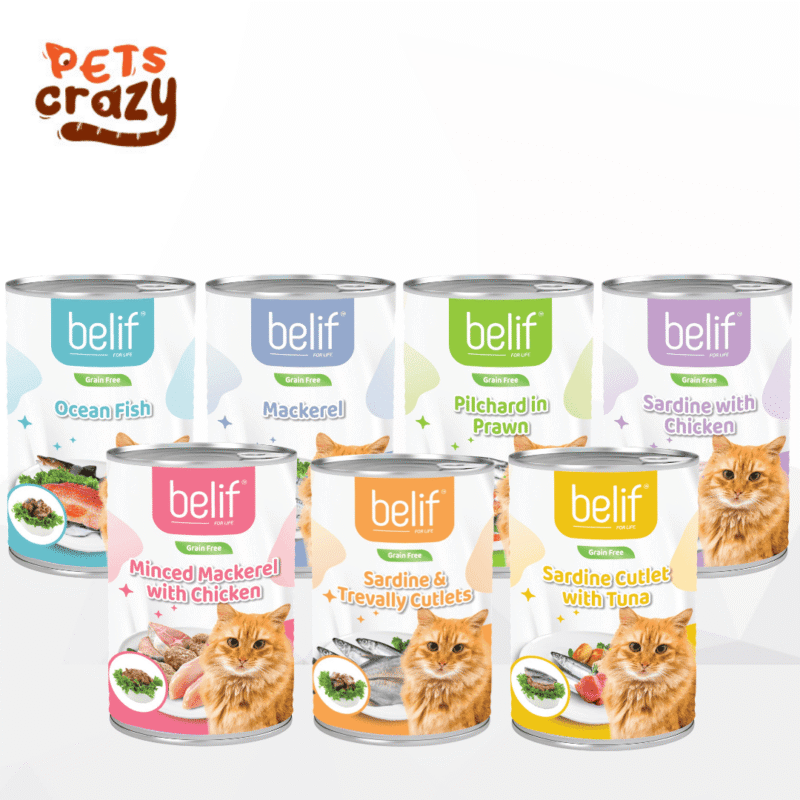Belif Canned Wet Food for Cats (400g) | Belif