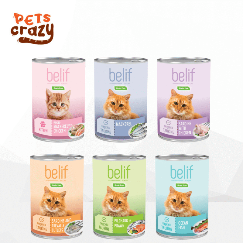 Belif Canned Wet Food for Cats 400g