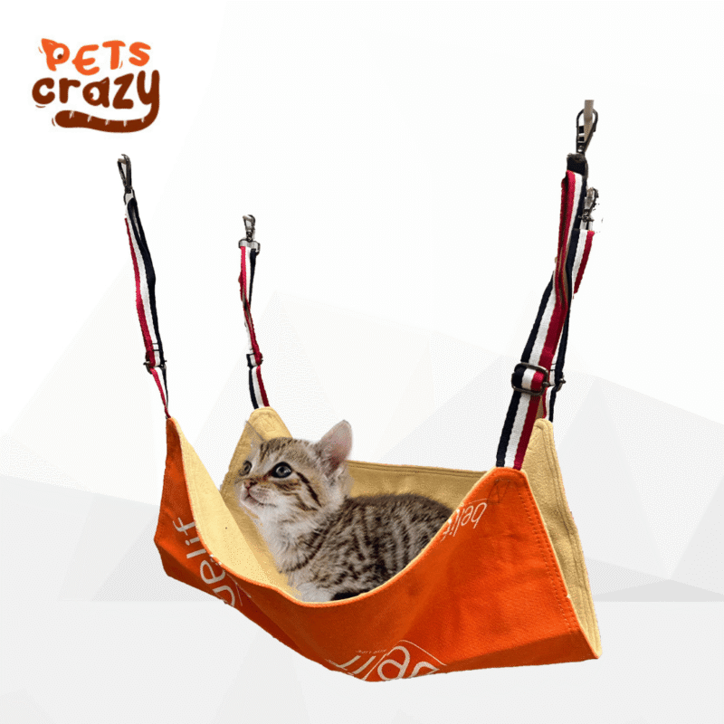 Limited Edition Cat Hammock | Belif