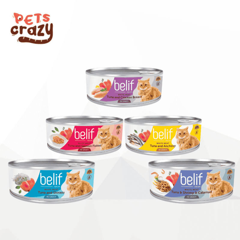Belif Canned Wet Food in Gravy for Cats 80g