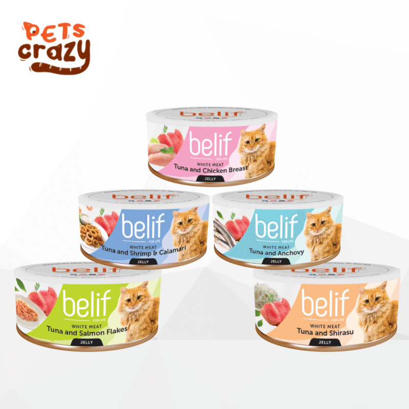 Belif Canned Wet Food in Jelly for Cats 80g
