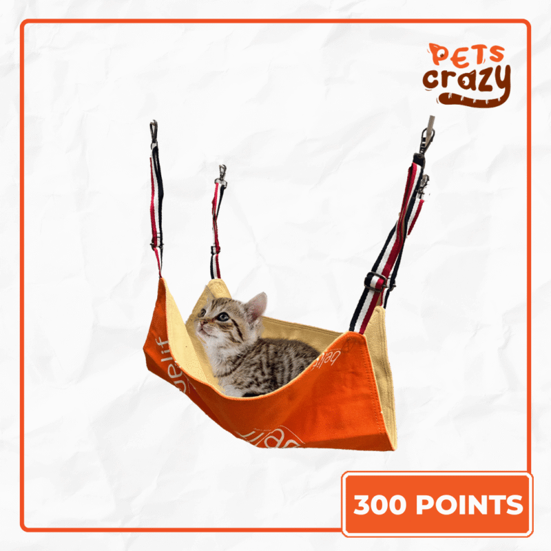 Gift Redeem - Belif Limited Edition Cat Hammock