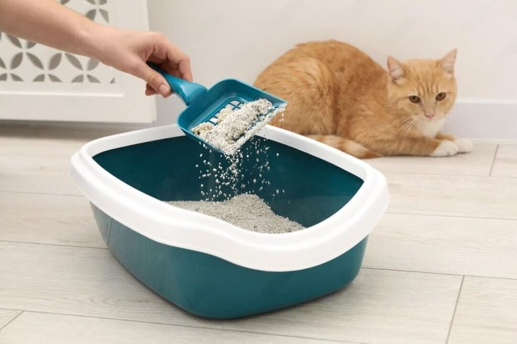 scooping cat litter with clump