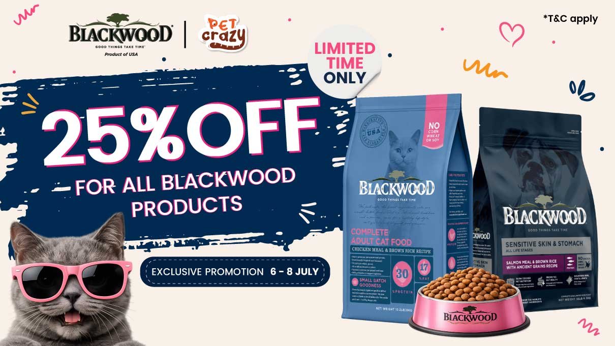 Blackwood Pawsome Deals!