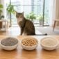 Five types of cat litter in white bowls with a cat in a bright Malaysian apartment