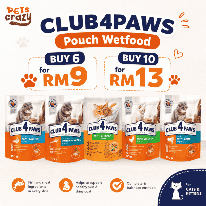[AUGUST PROMO] Random Wet Food Pouch for All Life Stages Cat | CLUB 4 PAWS